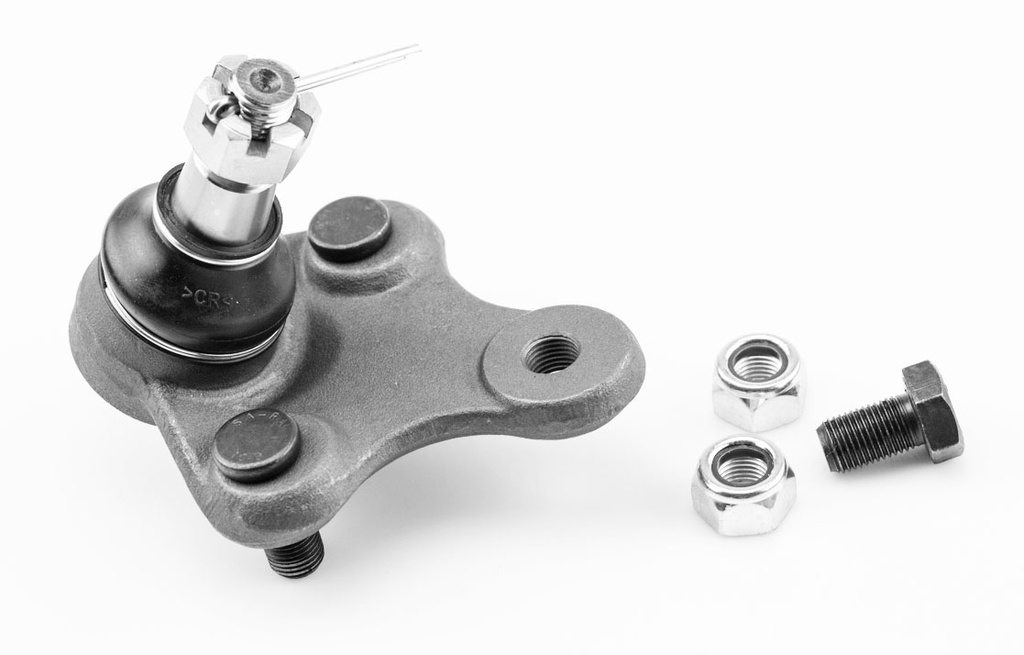 ROTULA INFERIOR