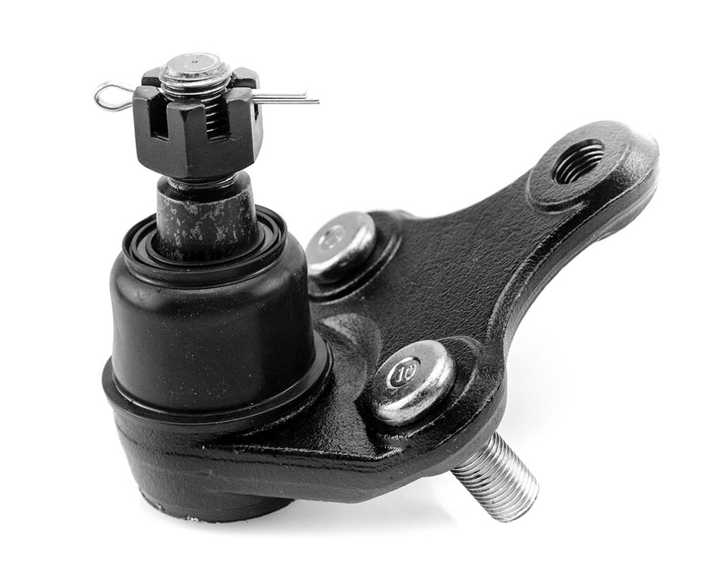 [1025021 SYD] ROTULA INFERIOR