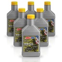 Kit 6 Litros 10W50 Synthetic Metric Motorcycle Oil AMSOIL